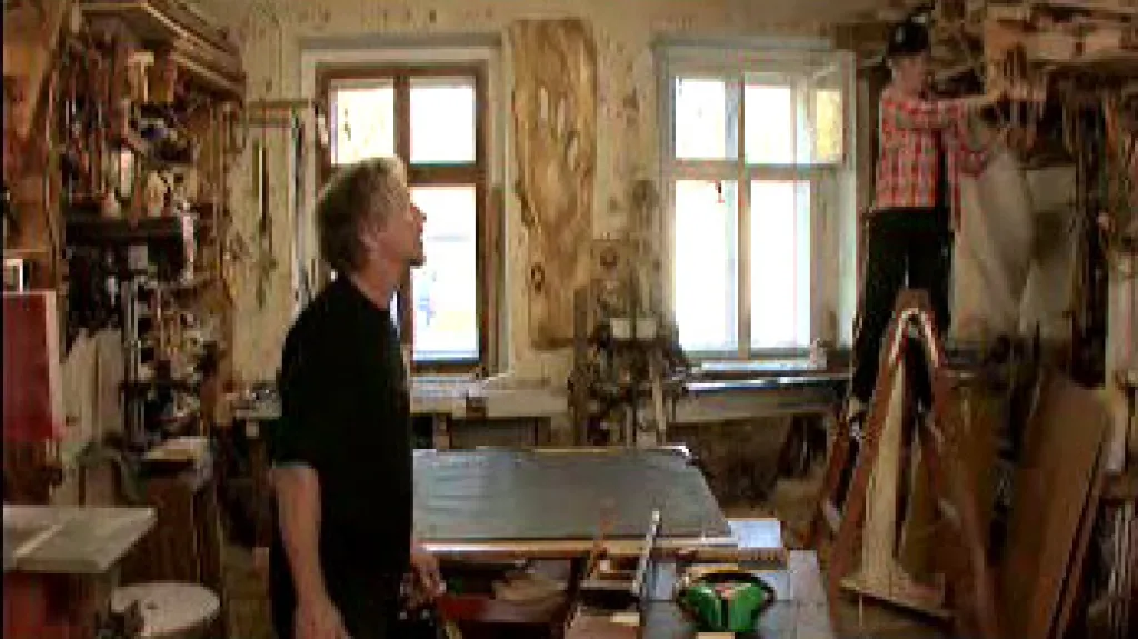 Kus dřeva ze stromu