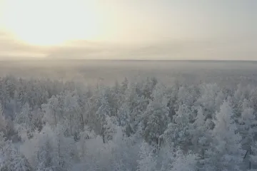 Sibiř se propadá. Tající permafrost ničí vše, co na něm stojí, varují odborníci
