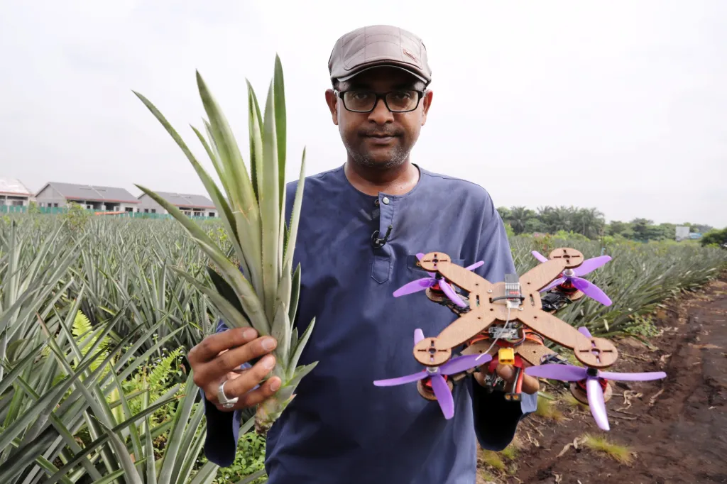 Na ananasy vyráží každý den s dronem profesor Mohamed Thariq z Univerzity Putra v Malajsii, který kontroluje, jak plodina roste. Zajímavostí ale je, že dron, který profesor na fotografii drží, je zčásti vyroben rovněž z listů ananasu. Thariq uvedl, že drony vyrobené z biokompozitního materiálu mají větší pevnost než ty vyrobené ze syntetických vláken. Jsou také levnější, lehčí a snadněji se s nimi pracuje