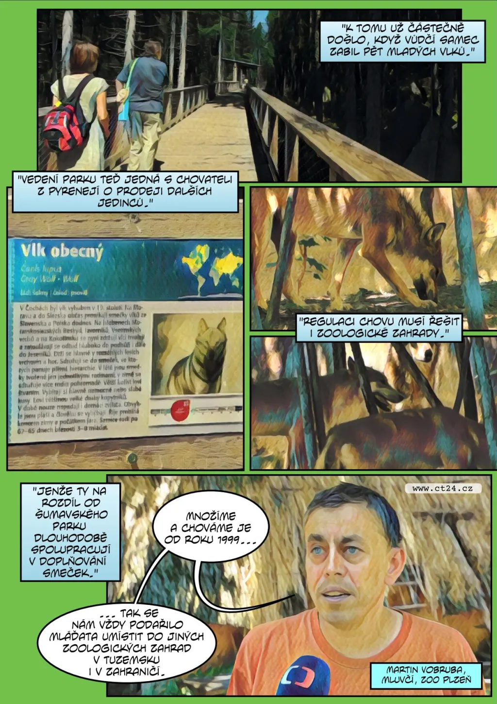 Komiks: Řízený chov vlků na Šumavě