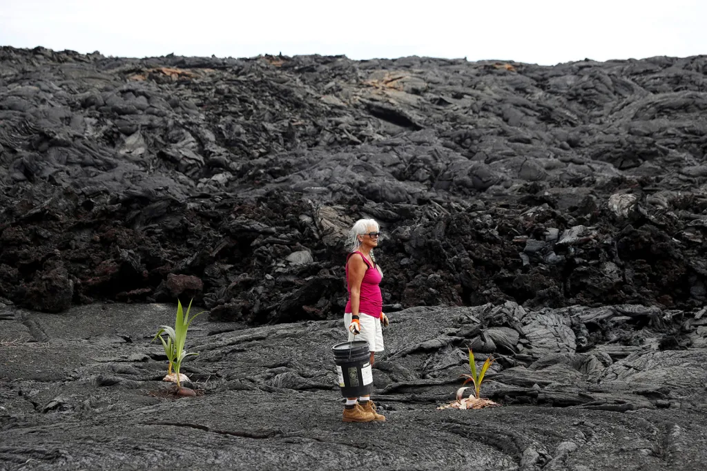 Diane Cohenová, která musela opustit svůj domov po výbuchu sopky Kilauea. Místo jejího původního bydliště je dnes překryto lávou. Na svém pozemku v Kapoho na Havaji vysadila kokosové palmy.