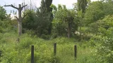 Tam, kde byly před pěti lety zahrádky, je dnes zarostlá pláň