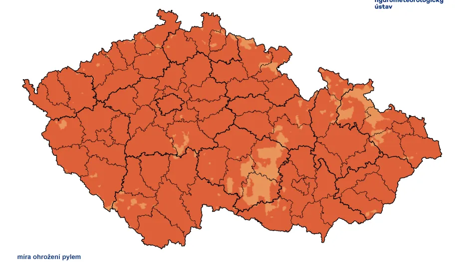 Pylový semafor pro pondělí: kromě hor a vrchovin bude míra ohrožení pylem mimořádná