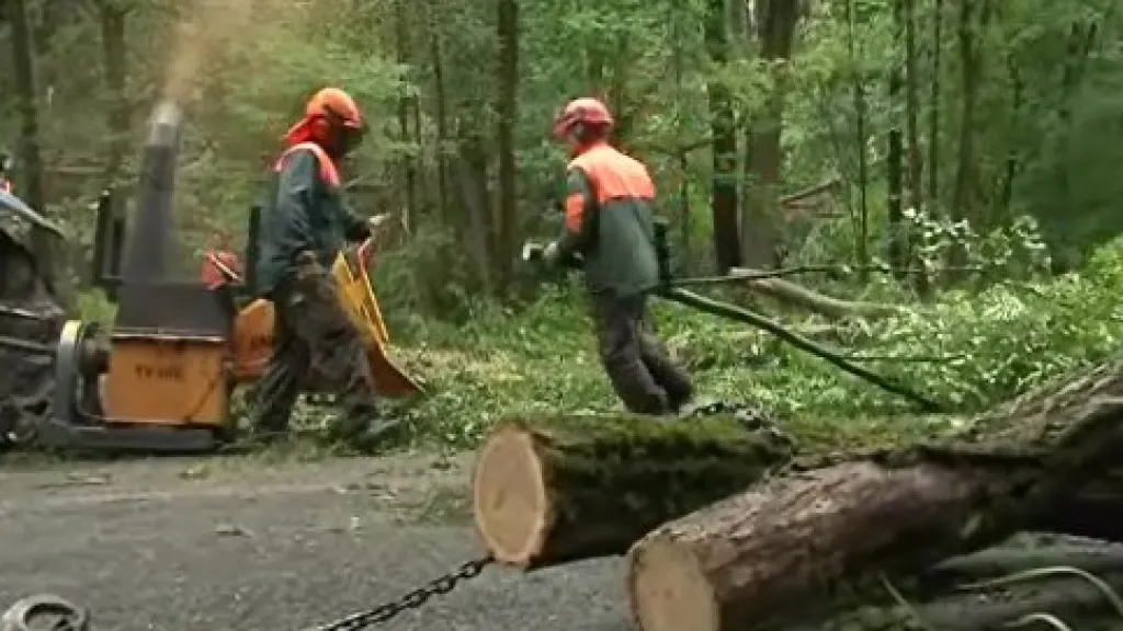 Odklízení škod, které napáchala vichřice