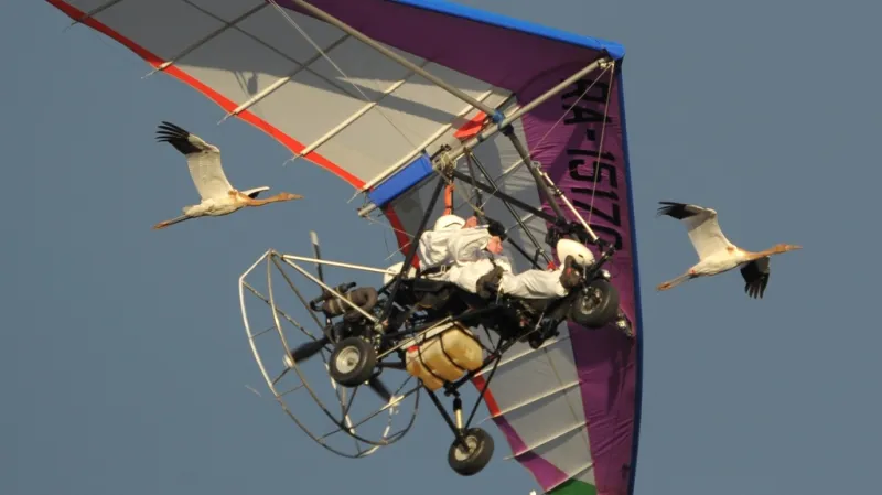 Vladimir Putin jako vůdce hejna jeřábů