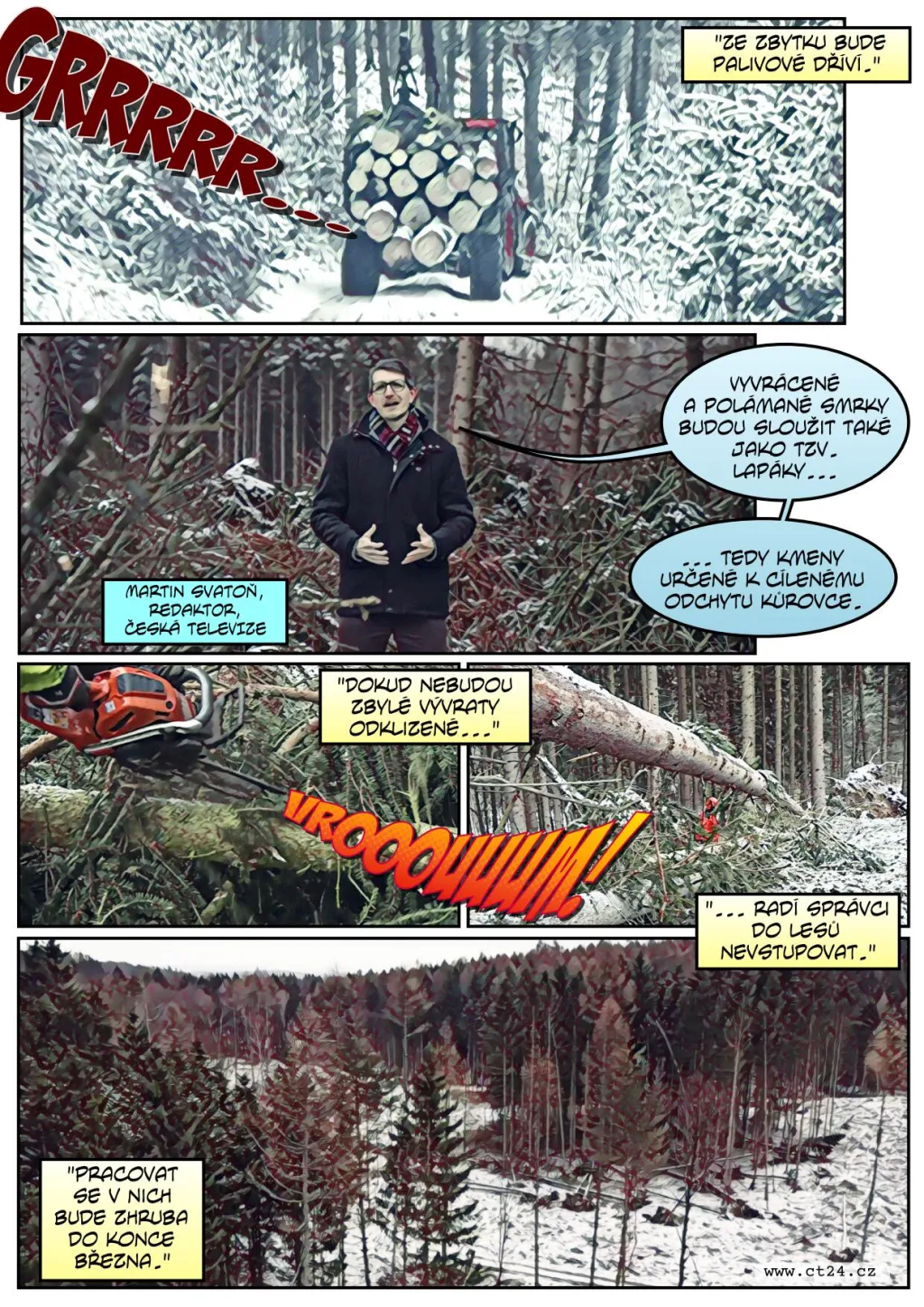 Následky silného větru v lesích