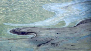 Ropná skvrna u pobřeží Kalifornie