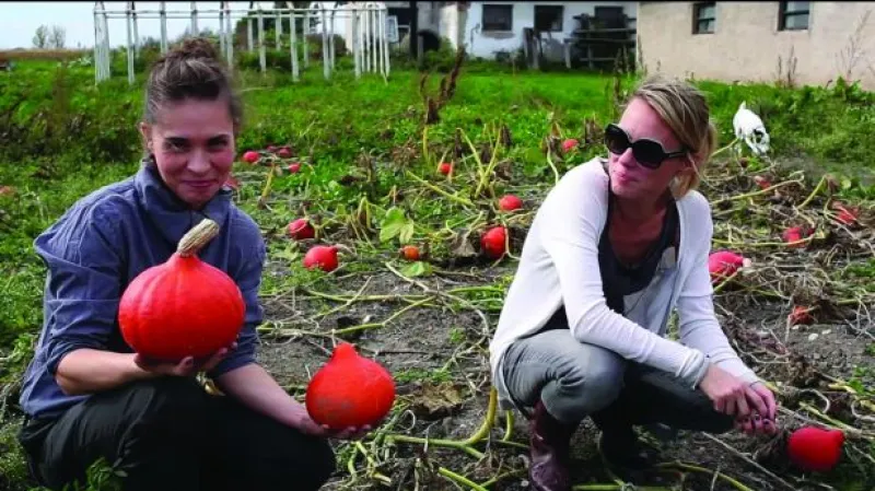 Podzim na ČT: Herbář