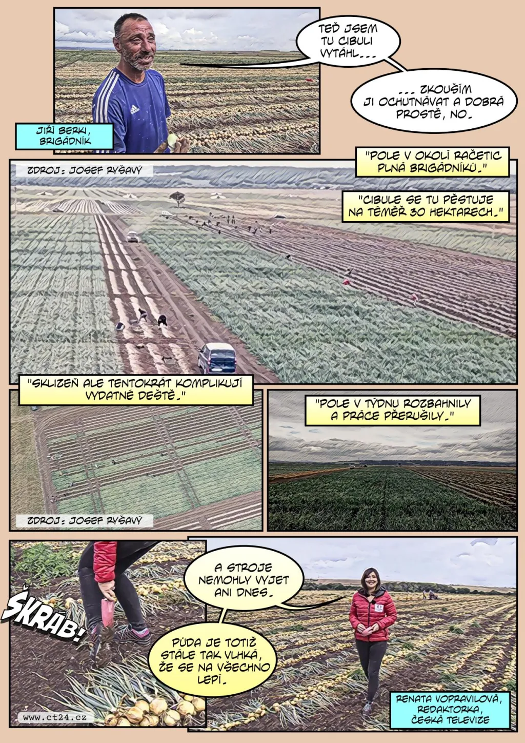 Deštivé počasí narušilo sklizeň cibule