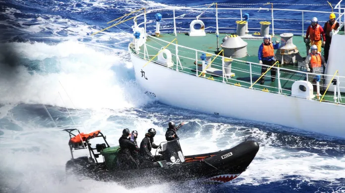 Boj proti japonským lovcům velryb