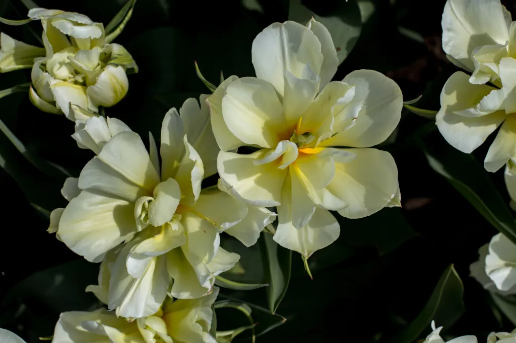 Finanční ztráta z ušlého vstupného se už nyní pohybuje v milionech korun