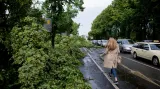 Bouřka lámala stromy i v Düsseldorfu