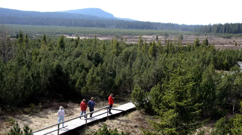 Šumava - Jezerní slať