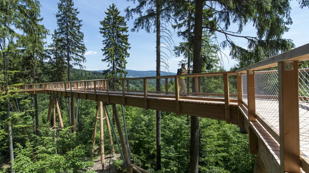 Stezka korunami stromů v Janských Lázních