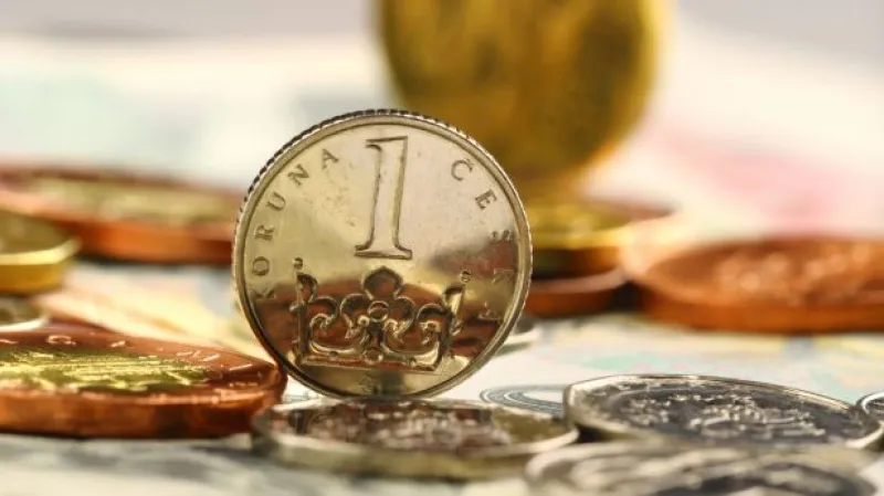 Firmy, obce a politická nestabilita