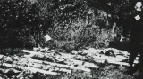 Exhumace obětí - foto z výstavy Teplicko mezi válkou a mírem