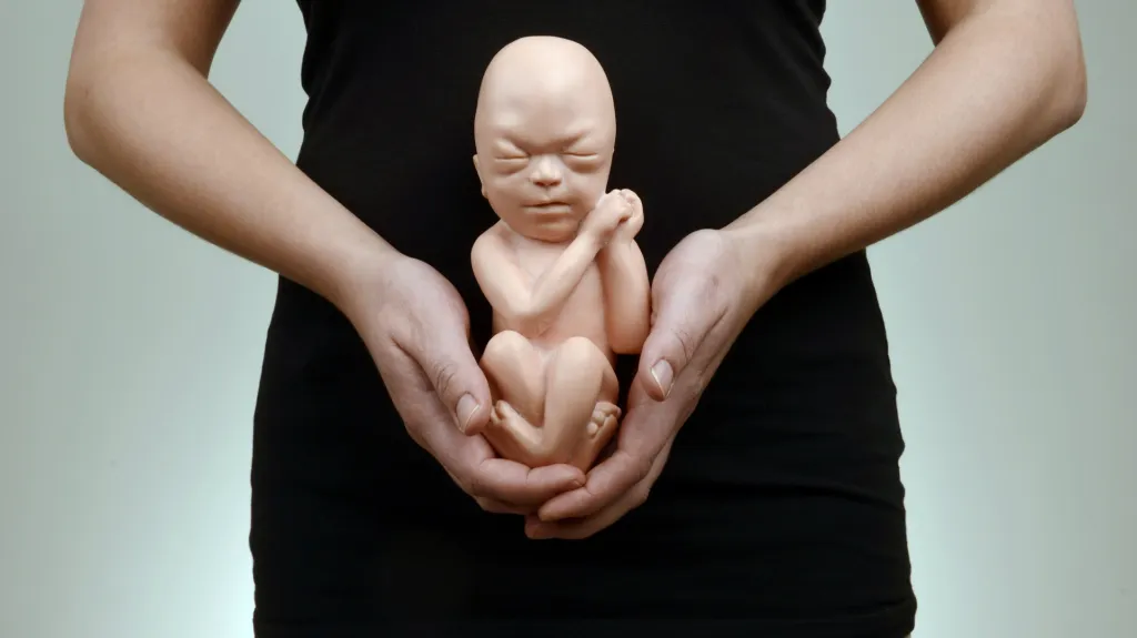 Potrat – ilustrační foto