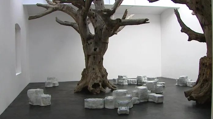 Výstava Aj Wej-weje v Berlíně