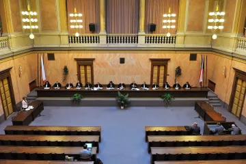 Nejvstřícnější Šimáčková, nejmenší naděje u Suchánka. Rozdíly v rozhodování ústavních soudců jsou velké