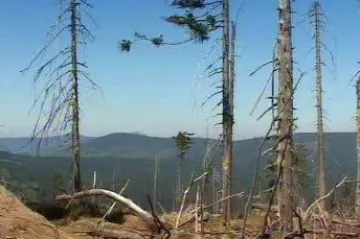 Nízké Tatry jsou zamořené pesticidy, tvrdí ekologické organizace