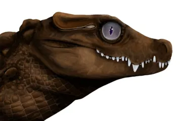 V pravěké Austrálii se na kořist ze stromů vrhali krokodýli