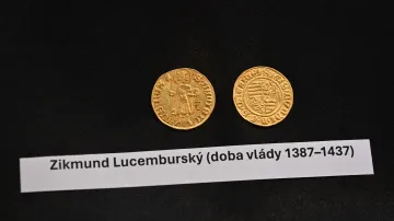 Prezentace výsledků záchranného archeologického výzkumu v Praskově ulici v Opavě a prohlídka pokladu