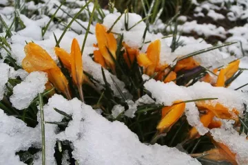 Do Česka dorazil vzduch z Arktidy, na horách bude sněžit