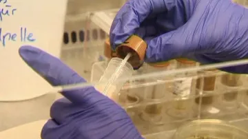 Laboratorní testy