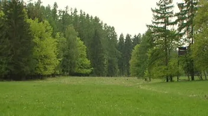 Křivoklátské lesy