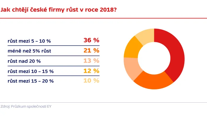 Jak chtějí české firmy růst v roce 2018?