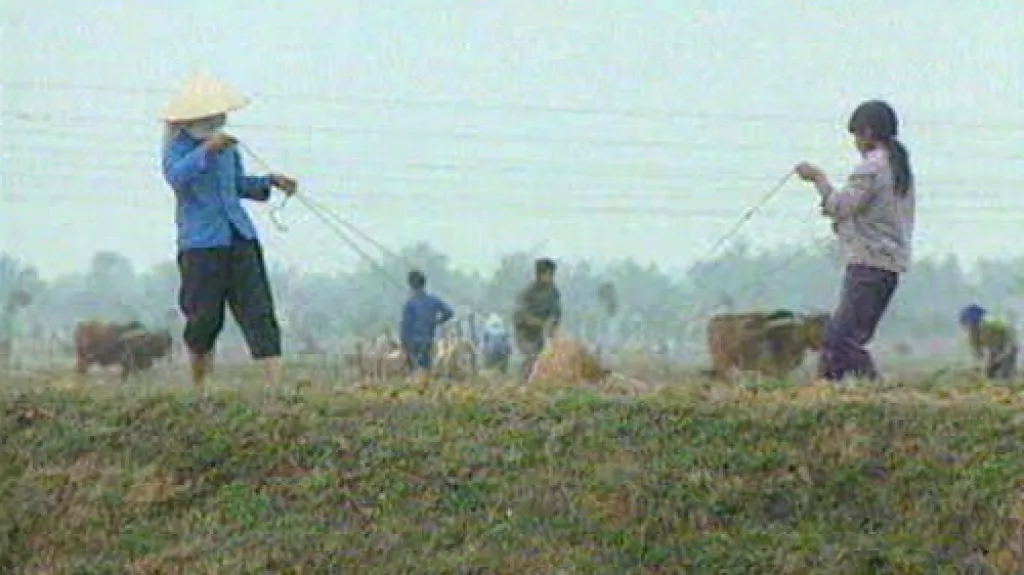 Vietnamci