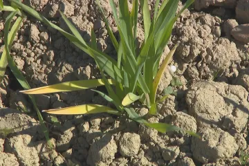 Zlínský kraj vyhlásil období nepříznivých klimatických podmínek
