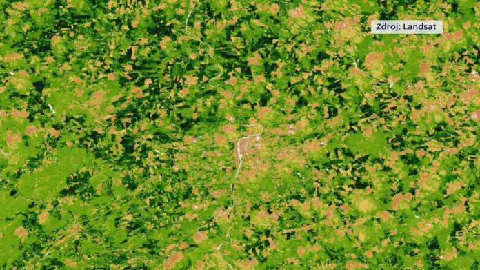 Satelitní snímek lesa