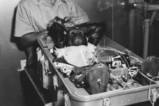 Utrpení šimpanze Enose otevřelo Američanům dveře do kosmu. Před 60 lety jimi vykročil John Glenn