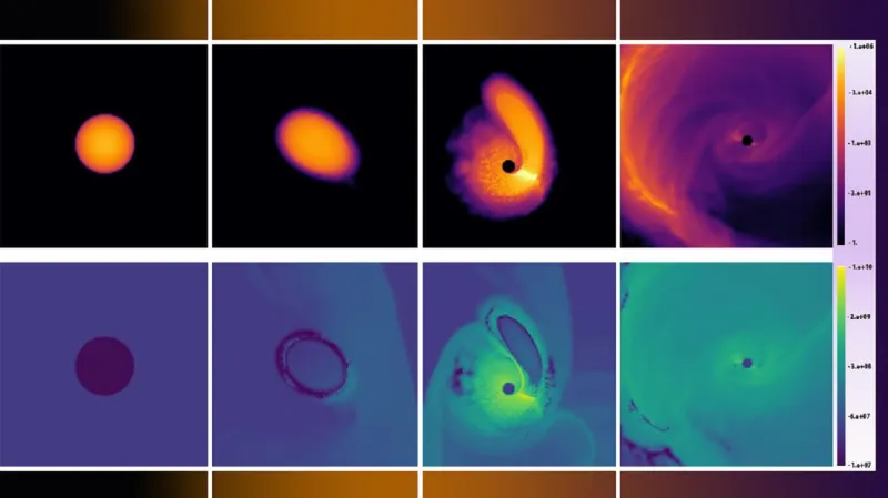 Simulace chování zombie hvězdy u černé díry