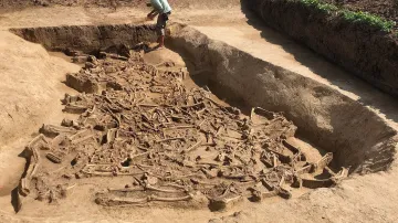 Část lidských těl nalezených v příkopě