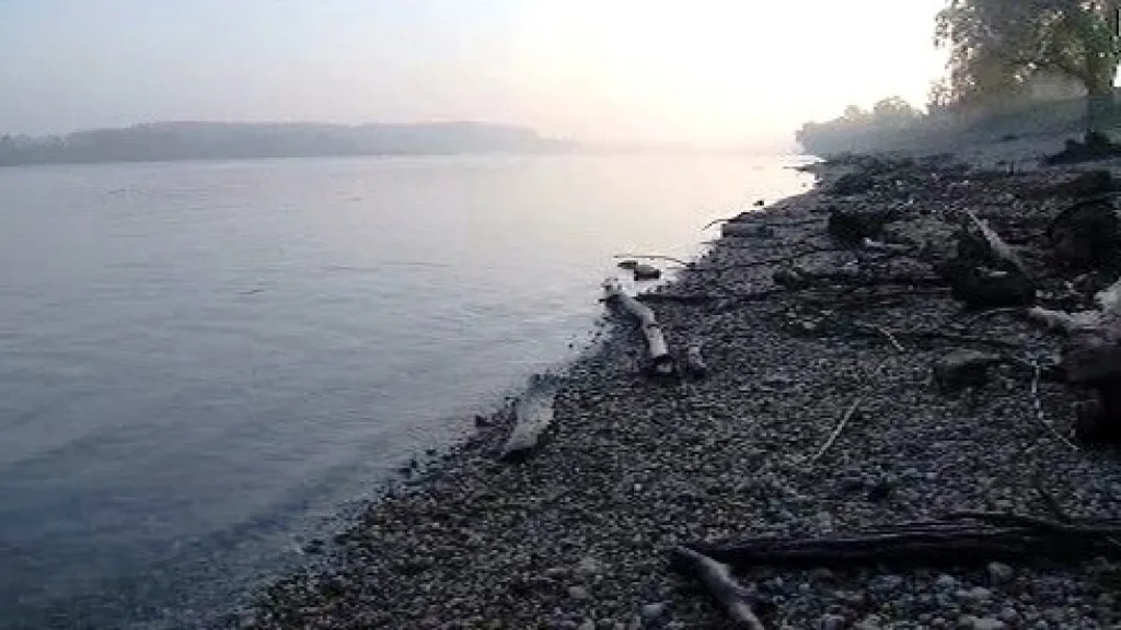 Dunaj