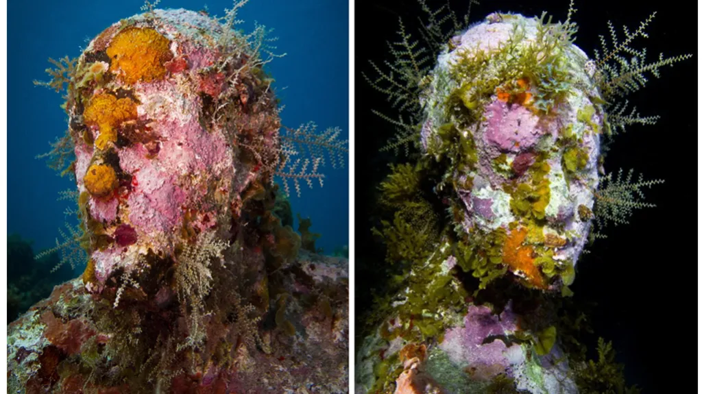 Podmořský sochař vystavuje na dně oceánu