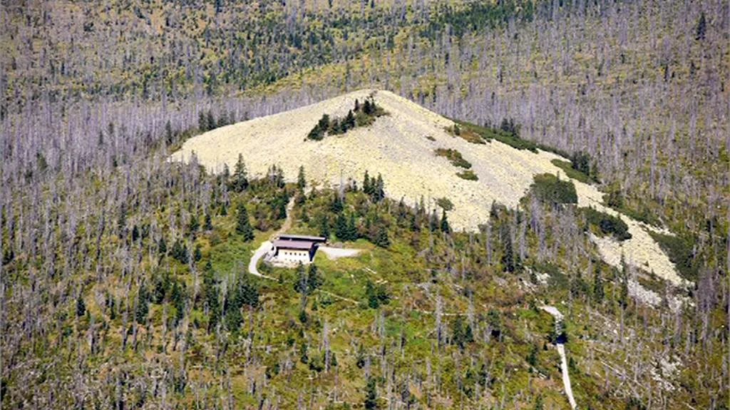 Kůrovcová kalamita na Šumavě