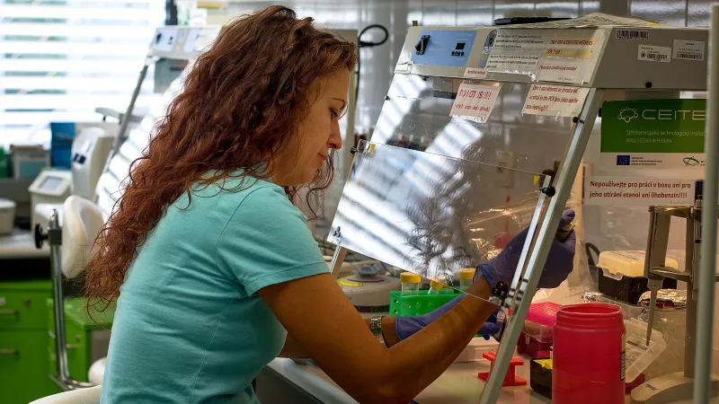 Veronika Navrkalová