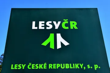 Soud rozdal tresty v kauze předražených IT zakázek Lesů ČR. Čtyři lidé dostali podmínky