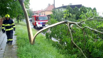 Následky bouřek zaměstnávaly hasiče