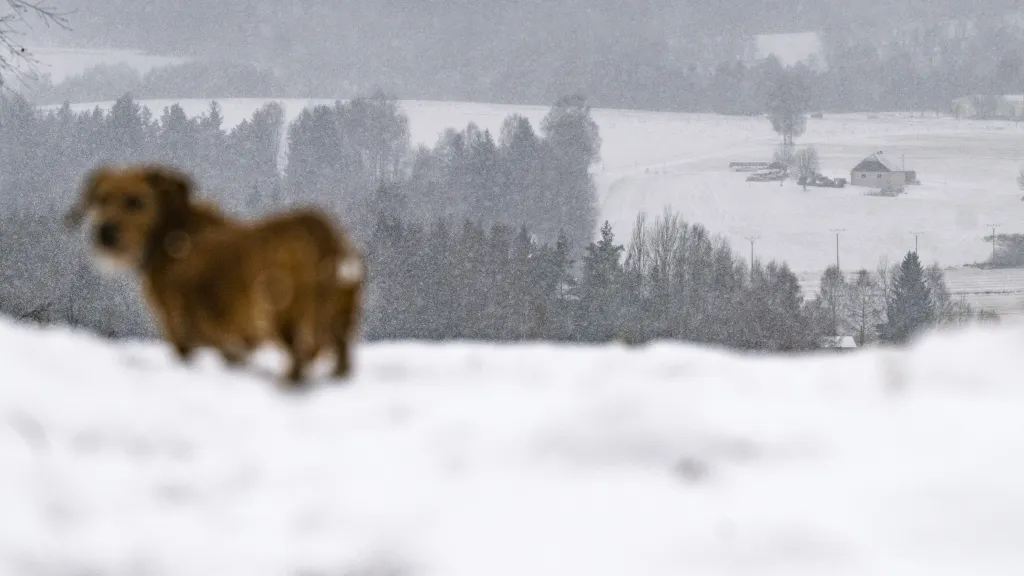 Zimní počasí v Česku