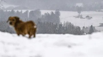 Zimní počasí v Česku