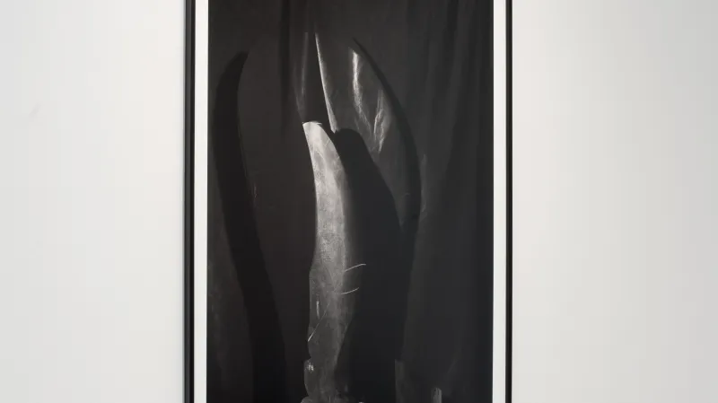 Fotografická odezva Jiřího Thýna na sochu Pupen