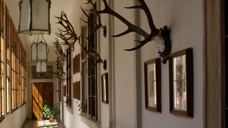 Mníšek pod Brdy - zámecká chodba