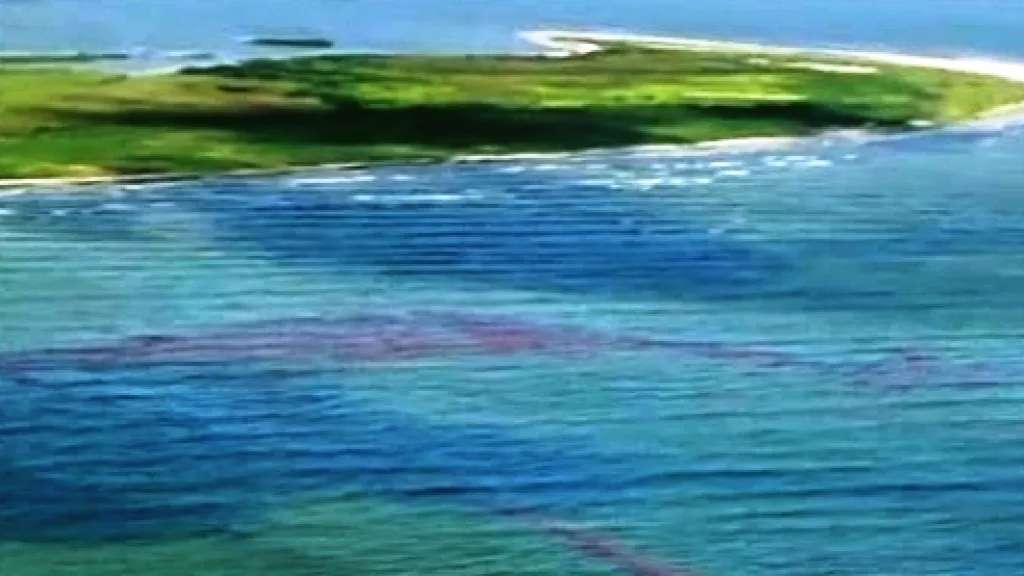 Ropná skvrna na pobřeží USA