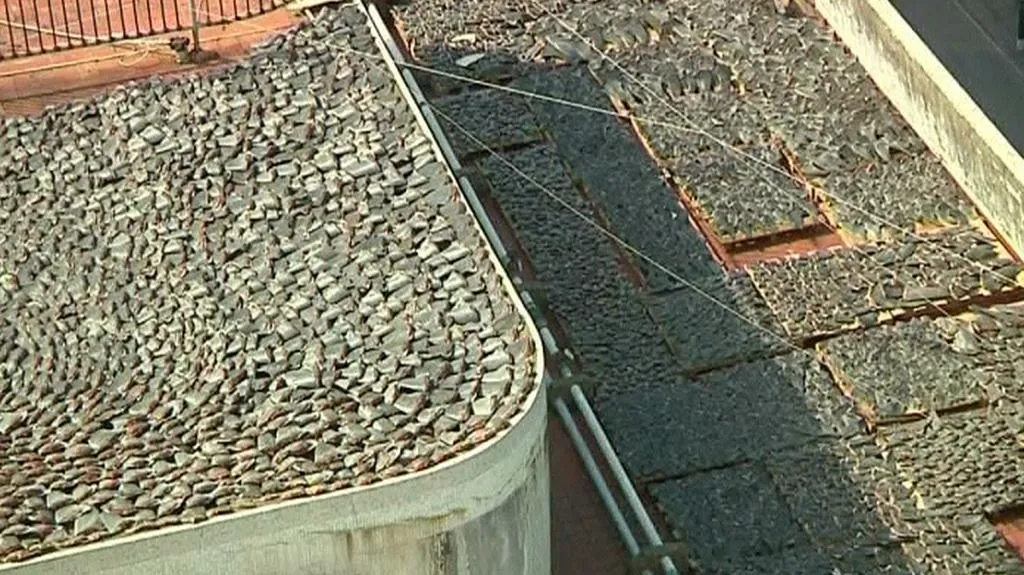 Žraločí ploutve na střechách
