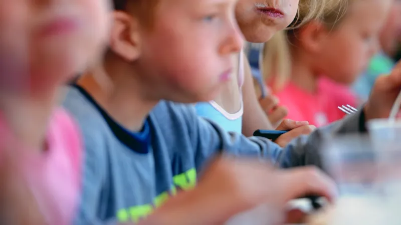 Jahodobraní v Dolní Pěně