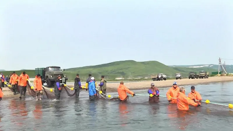 Výlov lososů na Kamčatce